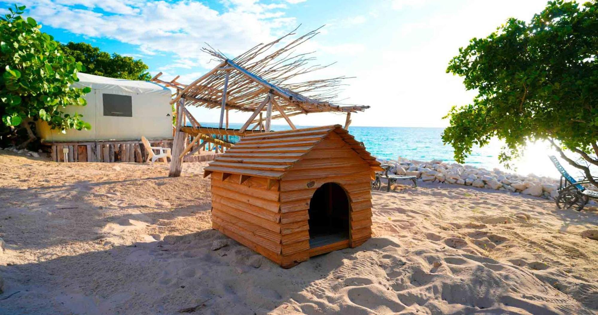 Glamping Ecolodge Cueva De Las Aguilas Pedernales Exterior photo